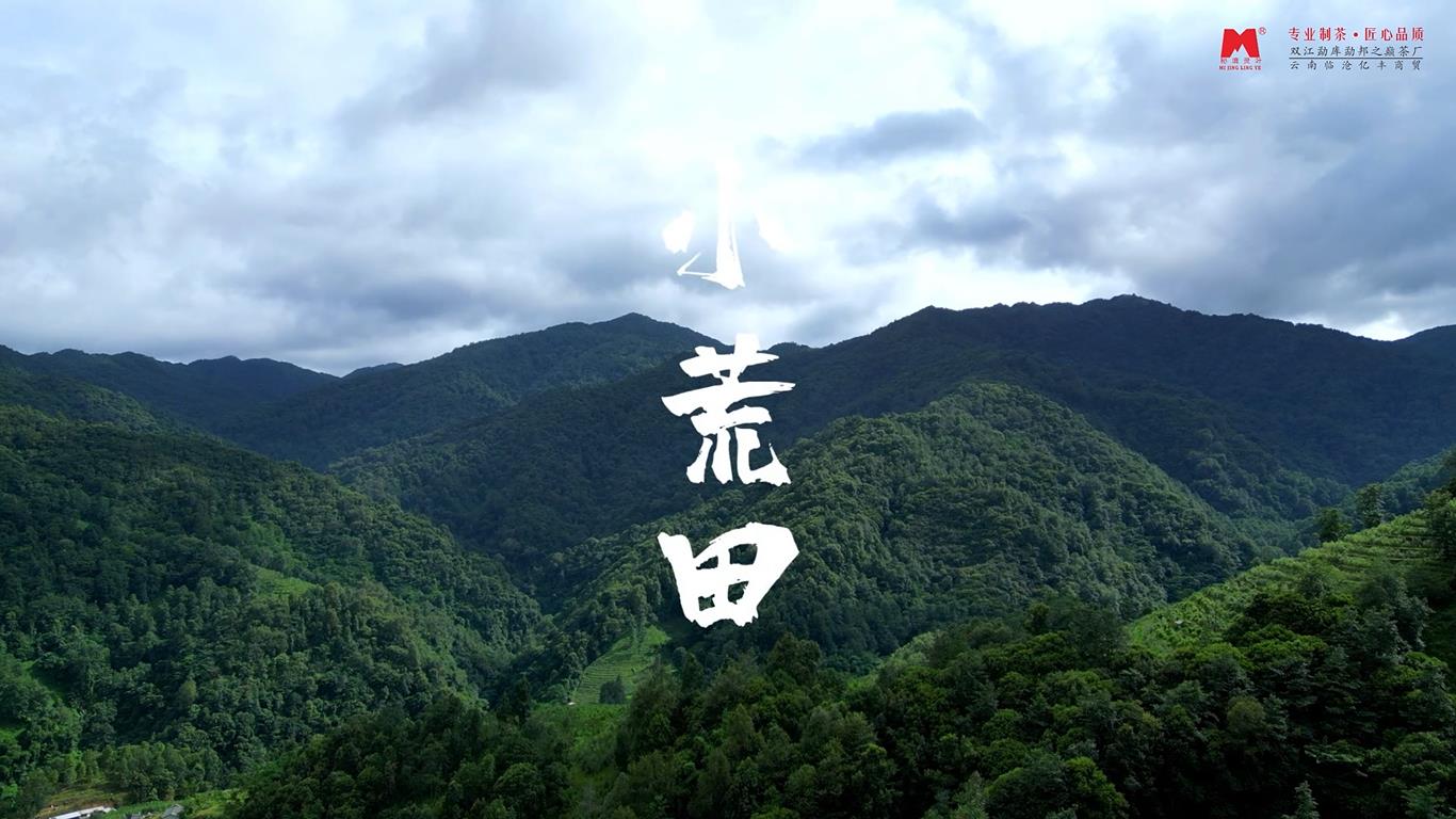 小荒田寨子.jpg